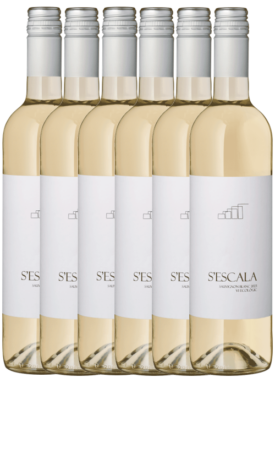 S'Escala Sauvignon Blanc box