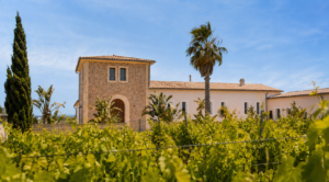 Bodega AVA Vi