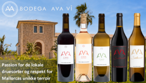 AVA Vi forside banner