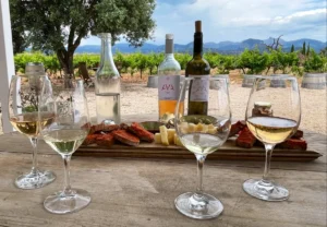 Bodega AVA Vi stemningsbillede
